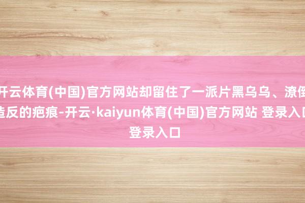开云体育(中国)官方网站却留住了一派片黑乌乌、潦倒造反的疤痕-开云·kaiyun体育(中国)官方网站 登录入口